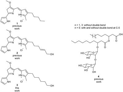 Production of tailored hydroxylated prodiginine showing combinatorial activity with rhamnolipids against plant-parasitic nematodes